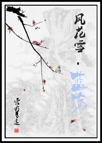 風花雪.藍殤